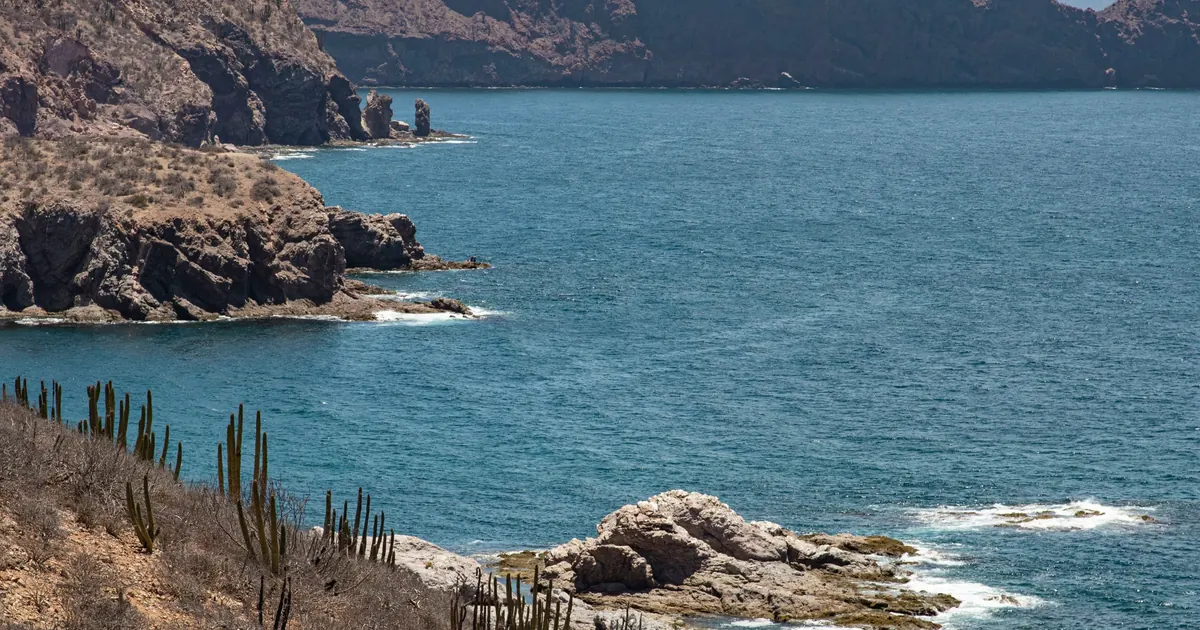 Pacífico o Mar de Cortés: dónde comprar tu terreno de playa
