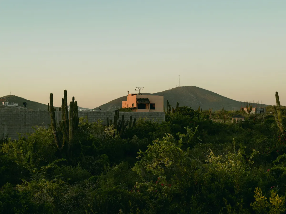 Casa sobre una loma con cactus al atardecer