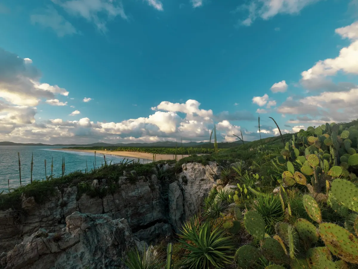 Terrenos en Puerto Nuevo — imagen ilustrativa